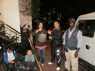 Insects and beetles observation at night